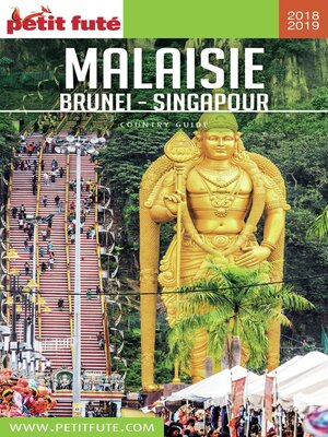 cover image of MALAISIE 2018/2019 Petit Futé